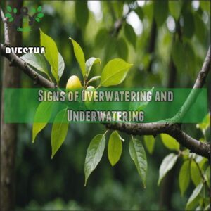 Signs of Overwatering and Underwatering