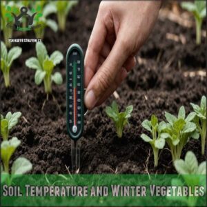 Soil Temperature and Winter Vegetables