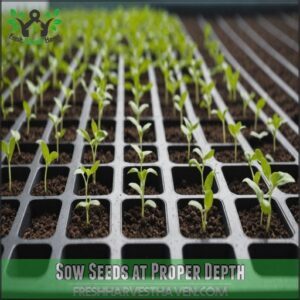 Sow Seeds at Proper Depth