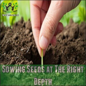 Sowing Seeds at The Right Depth