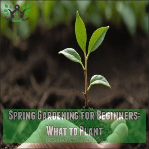 Spring Gardening for Beginners: What to Plant