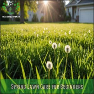 Spring Lawn Care for Beginners