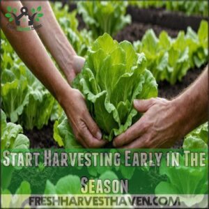 Start Harvesting Early in The Season