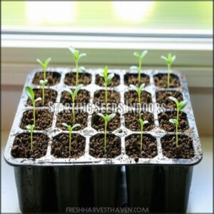 Starting Seeds Indoors