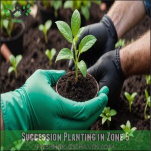 Succession Planting in Zone 5