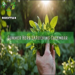 Summer Herb Gardening Calendar