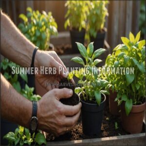 Summer Herb Planting Information