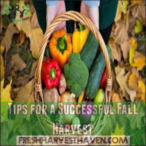 Tips for a Successful Fall Harvest