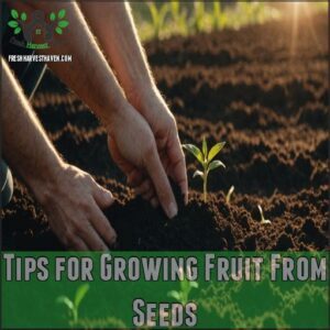 Tips for Growing Fruit From Seeds