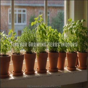 Tips for Growing Herbs Indoors