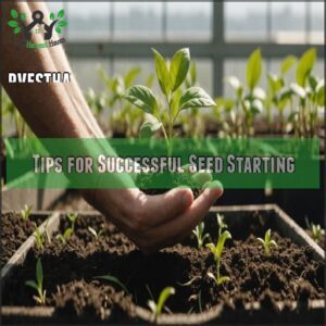 Tips for Successful Seed Starting