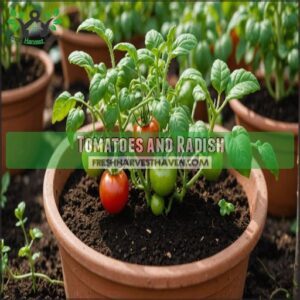 Tomatoes and Radish