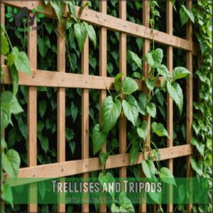 Trellises and Tripods