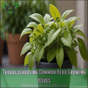 Troubleshooting Common Herb Growing Issues