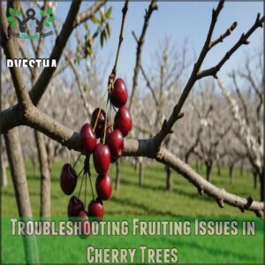 Troubleshooting Fruiting Issues in Cherry Trees