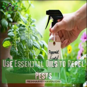 Use Essential Oils to Repel Pests