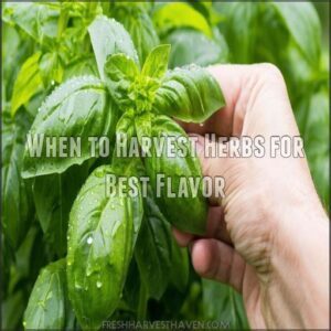 When to Harvest Herbs for Best Flavor