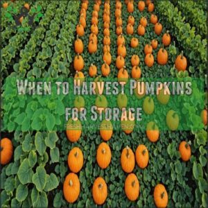 When to Harvest Pumpkins for Storage