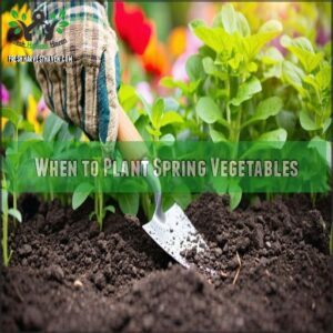 When to Plant Spring Vegetables