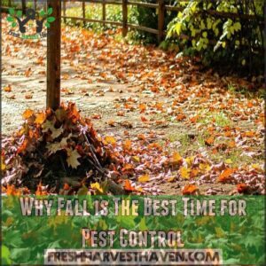 Why Fall is The Best Time for Pest Control