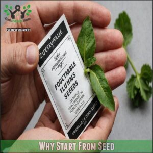 Why Start From Seed