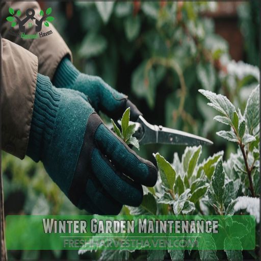 Winter Garden Maintenance