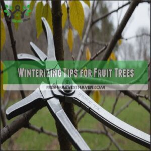 Winterizing Tips for Fruit Trees