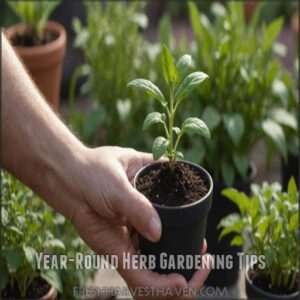 Year-Round Herb Gardening Tips