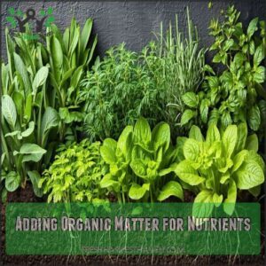 Adding Organic Matter for Nutrients