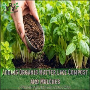 Adding Organic Matter Like Compost and Mulches