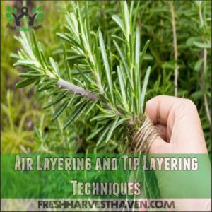 Air Layering and Tip Layering Techniques