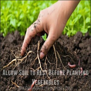 Allow Soil to Rest Before Planting Vegetables