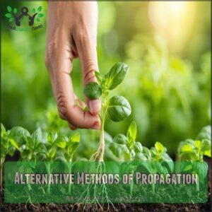 Alternative Methods of Propagation