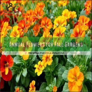 Annual Flowers for Fall Gardens