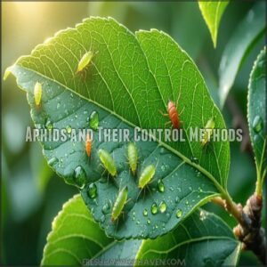 Aphids and Their Control Methods