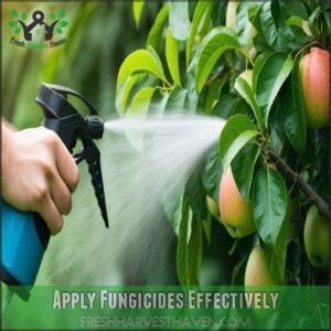 Apply Fungicides Effectively