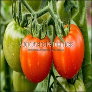 Avoid Overripe Tomatoes