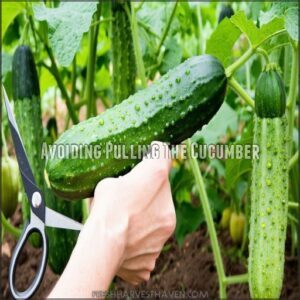 Avoiding Pulling The Cucumber