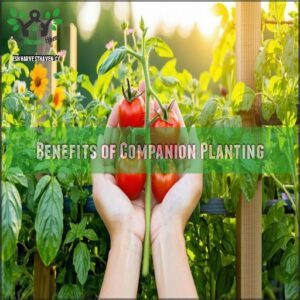 Benefits of Companion Planting