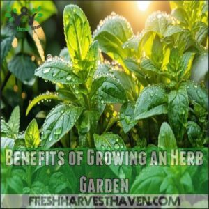 Benefits of Growing an Herb Garden