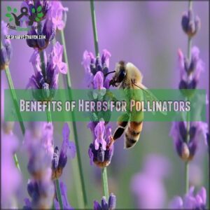 Benefits of Herbs for Pollinators