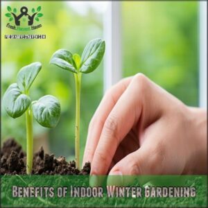 Benefits of Indoor Winter Gardening