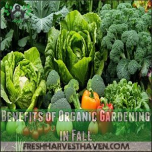 Benefits of Organic Gardening in Fall