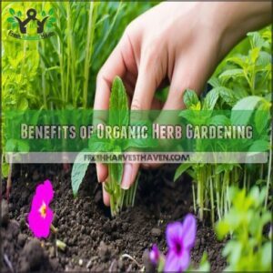 Benefits of Organic Herb Gardening