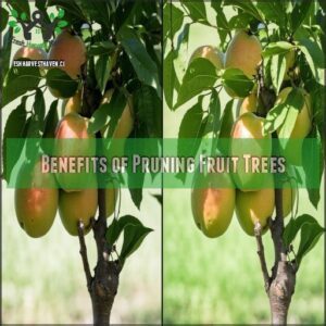 Benefits of Pruning Fruit Trees