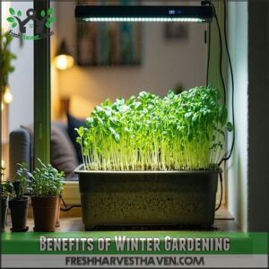 Benefits of Winter Gardening