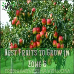 Best Fruits to Grow in Zone 6