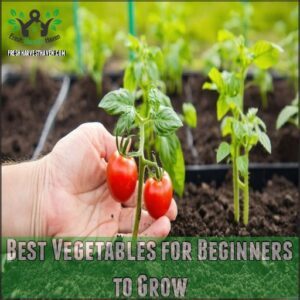 Best Vegetables for Beginners to Grow