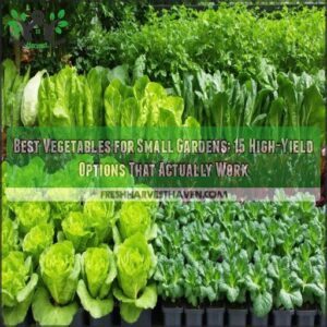 best vegetables for small gardens