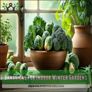 Brassicas for Indoor Winter Gardens